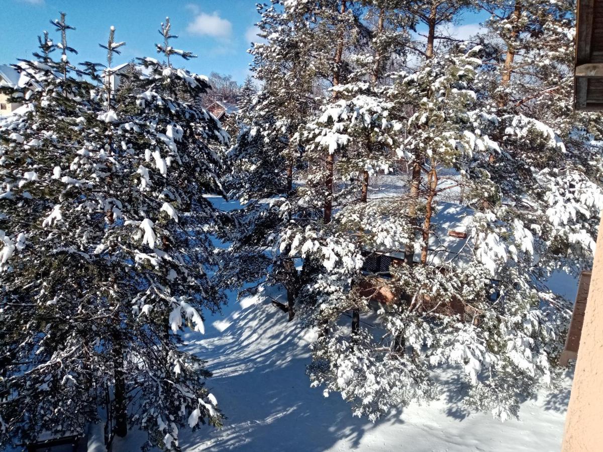 Apartments Dobra Vila Zlatibor Eksteriør billede