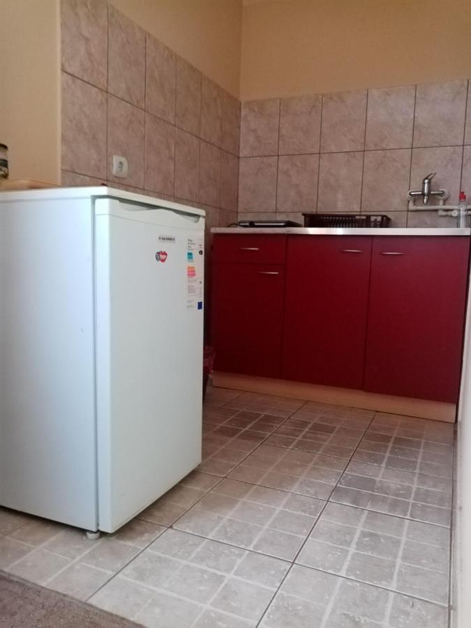 Apartments Dobra Vila Zlatibor Eksteriør billede